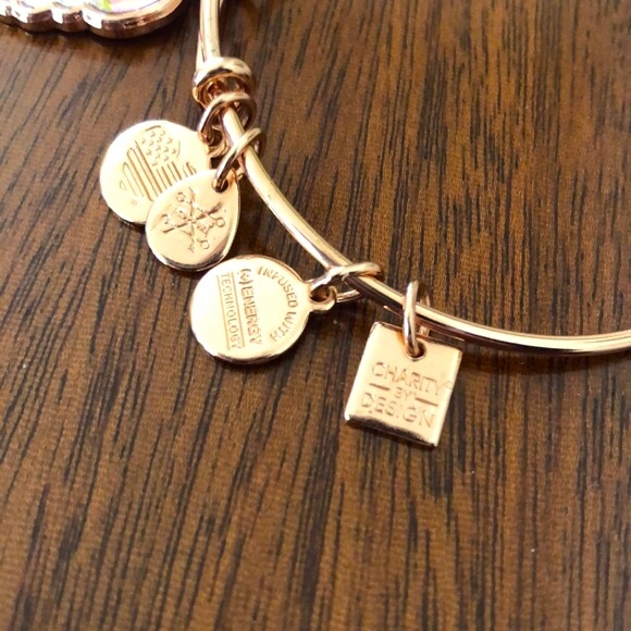 Alex and Ani Guardian Wing Charm Bracelet - Picture 6 of 12